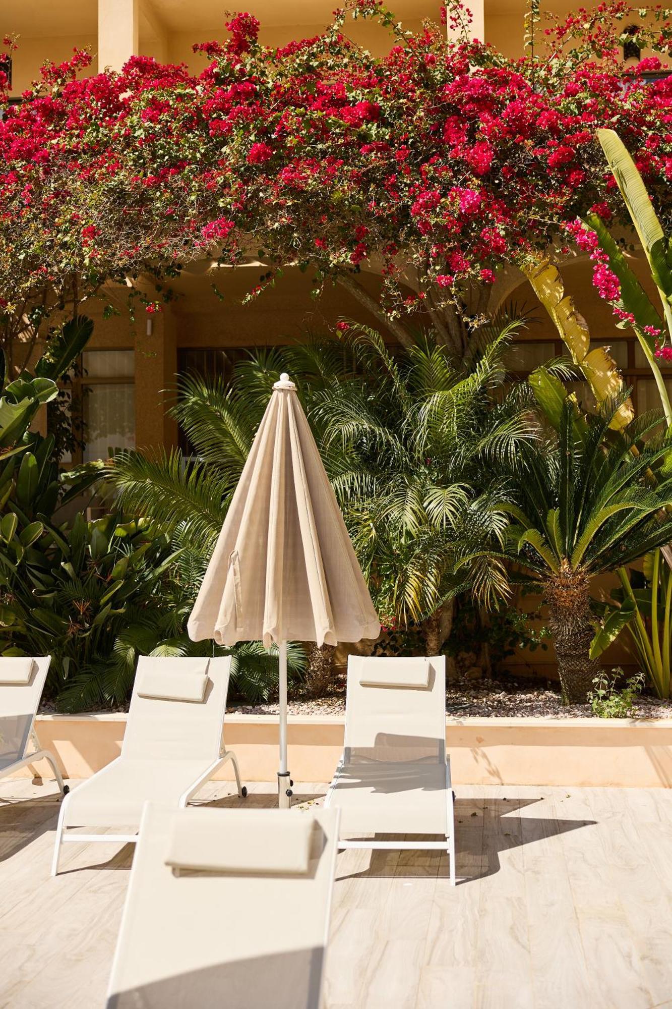 Apartamentos Isla Del Sol Can Pastilla  Exterior photo